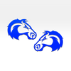Horse Fender Emblems